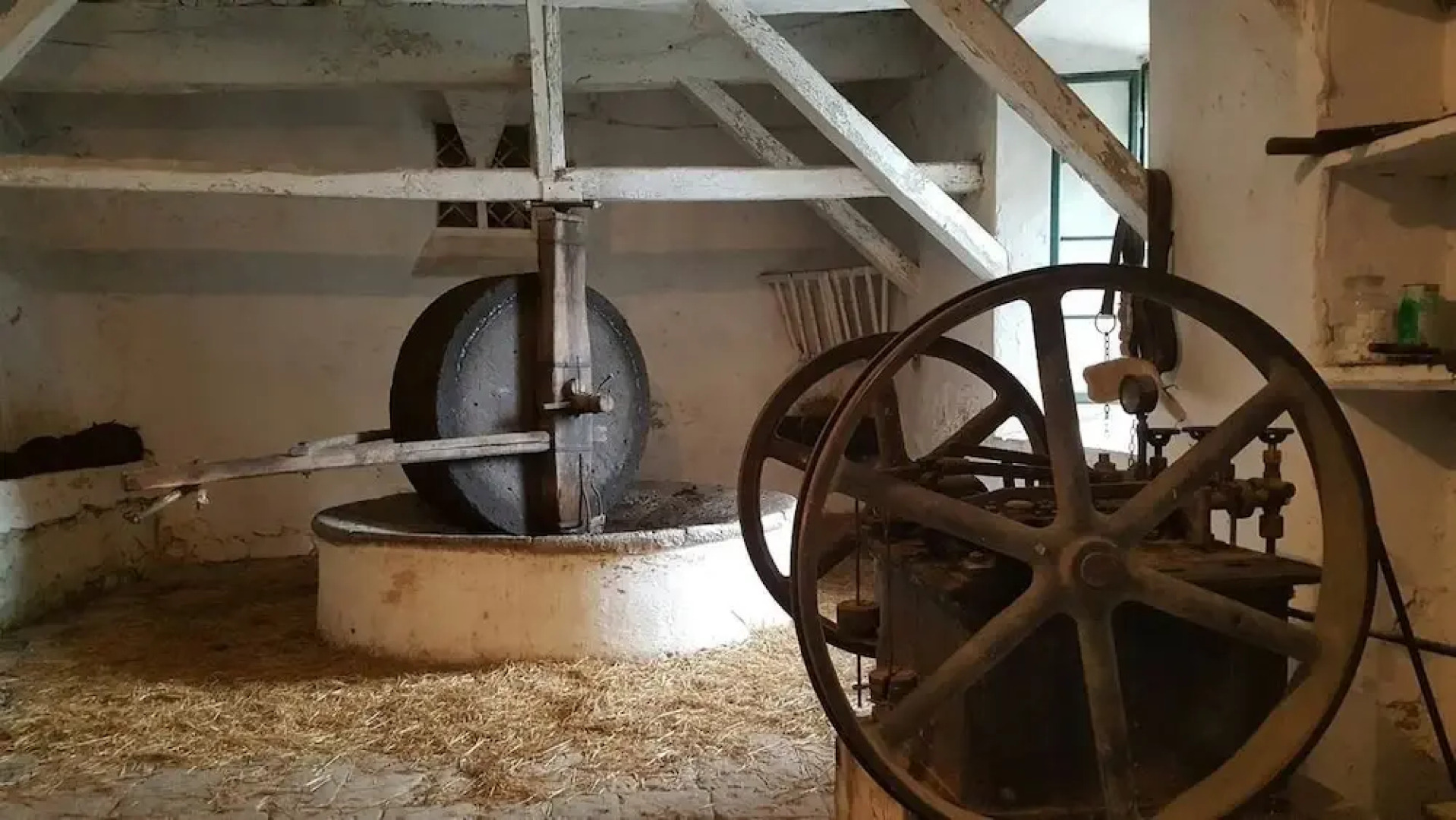 Verdidea - BELLAVISTA