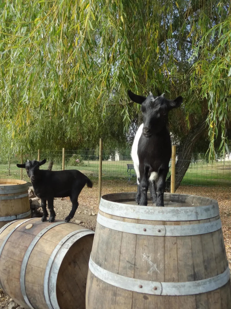 Hôtel Kyriad Libourne - Saint Emilion