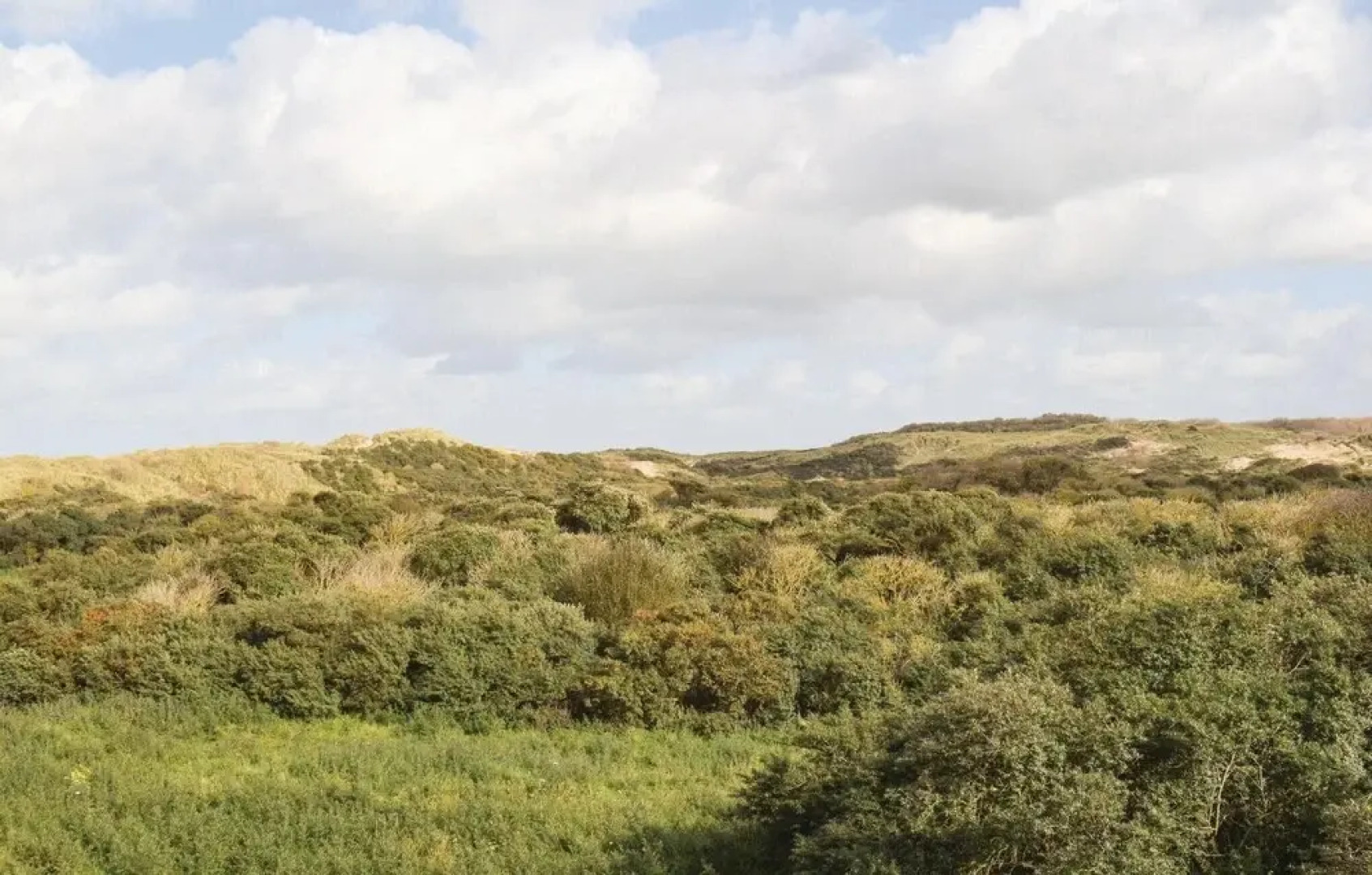 Amazing Home in De Haan With 12 Bedrooms and Wifi