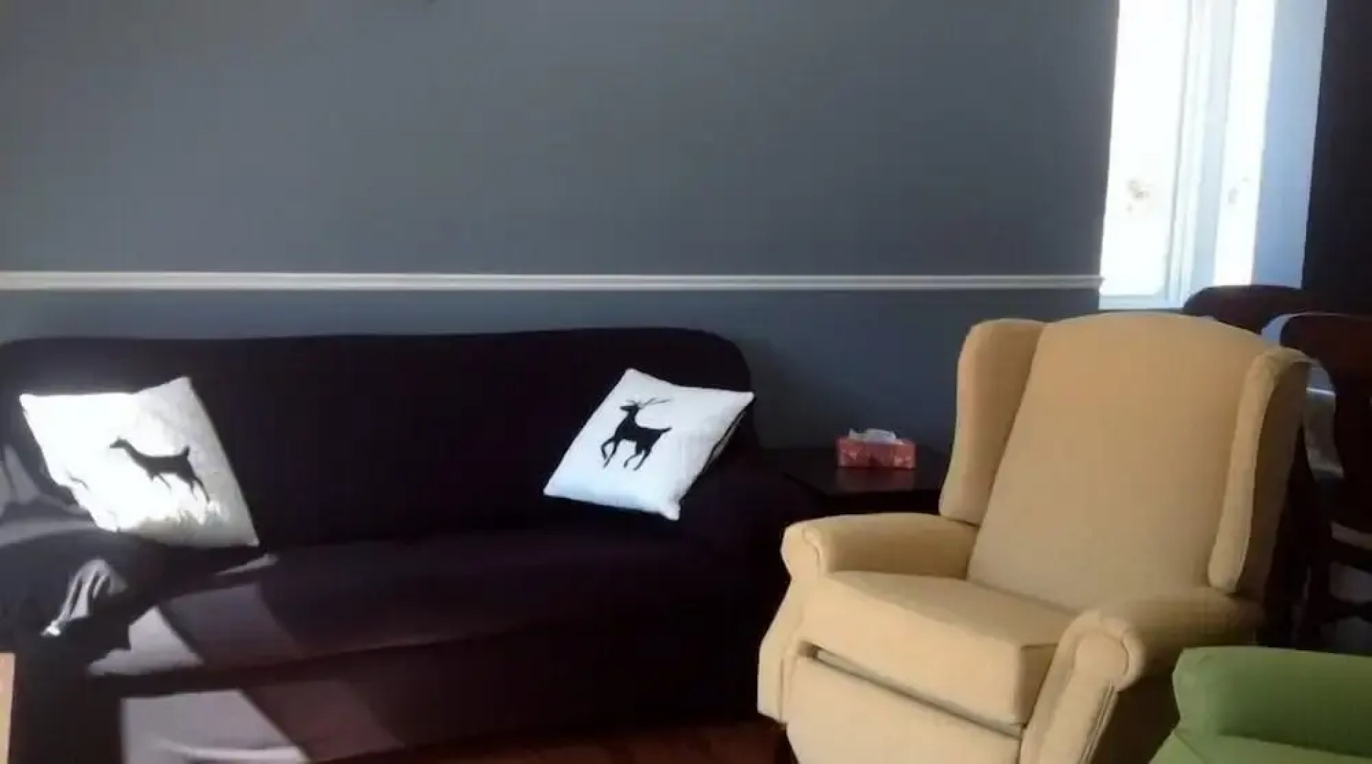 Condos Mont du Midi 64