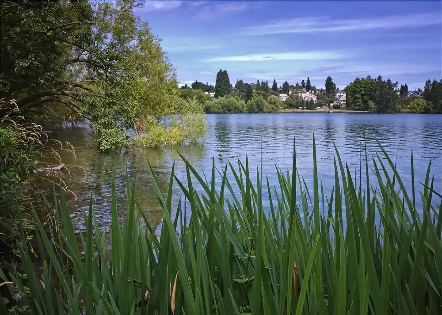 Phinney Suites Retreat - Two Bedroom Townhome with Fireplace