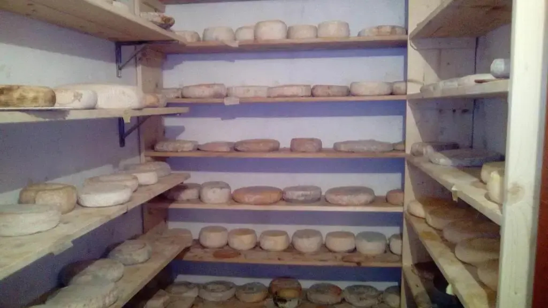 Agriturismo I due Falcetti