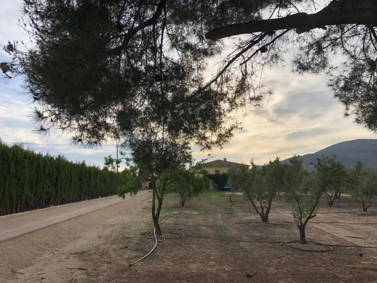 Finca Karicia Business Suite