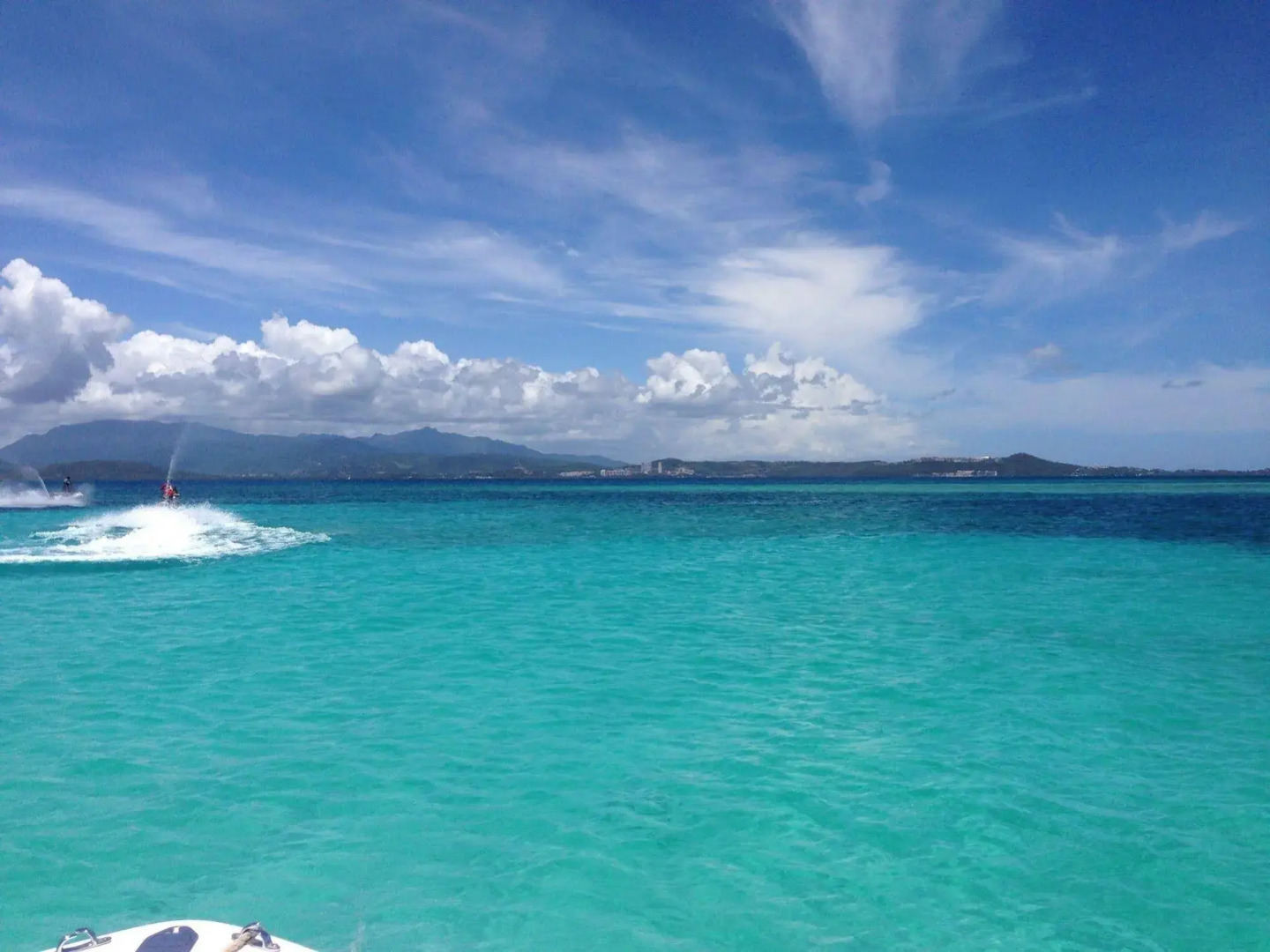 Dolphin Tower Apartment