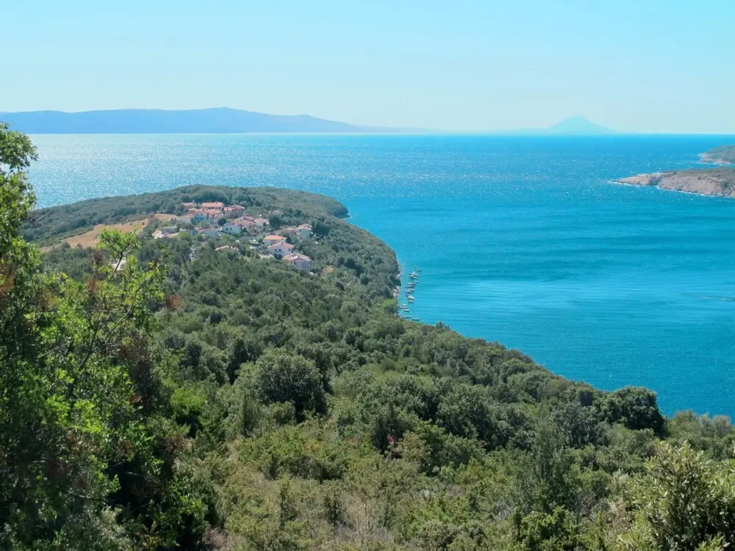 Violetta Duga Luka in Duga Luka