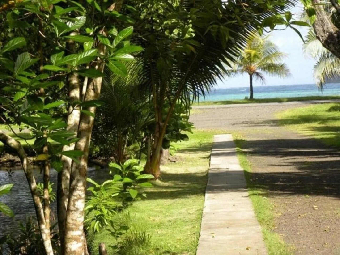 Pacific Treelodge Resort