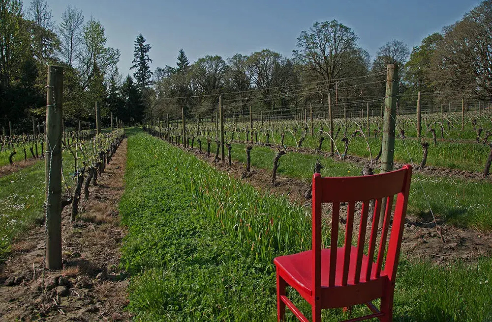 R. R. Thompson House Bed & Breakfast