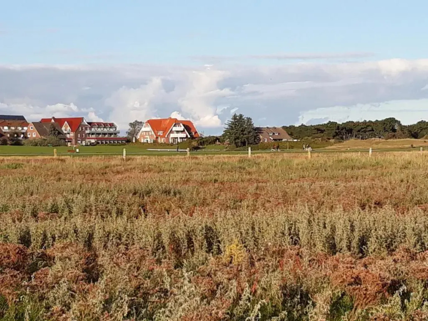 Ferienhaus Nordstrand Whg 5