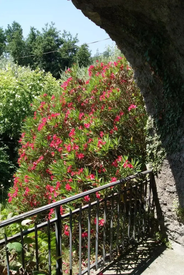 Relais San Filippo In Sogaglia