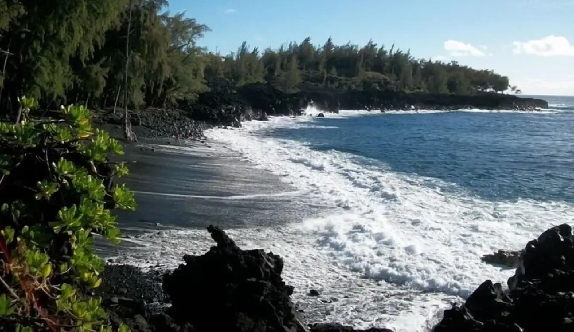 Kehena Treetop 1 Bedroom Home by RedAwning