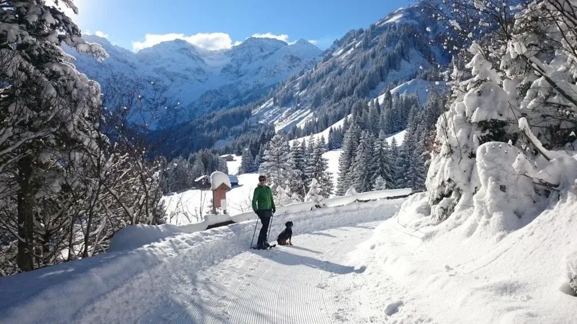 Appartments Haus Monika