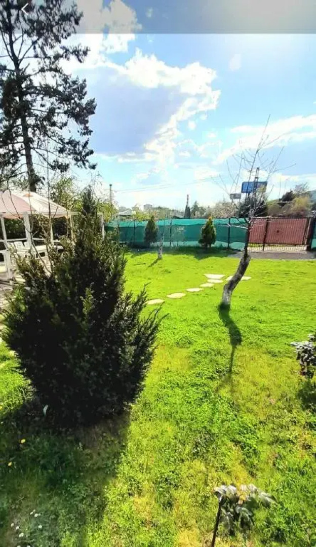 Tiny House in the City