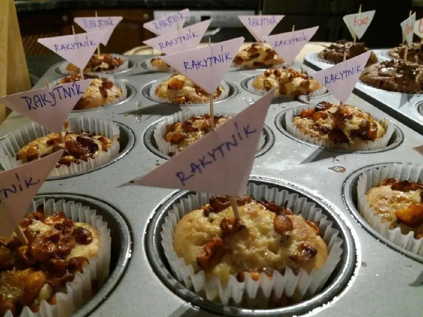 Penzion Měšťanský Dům