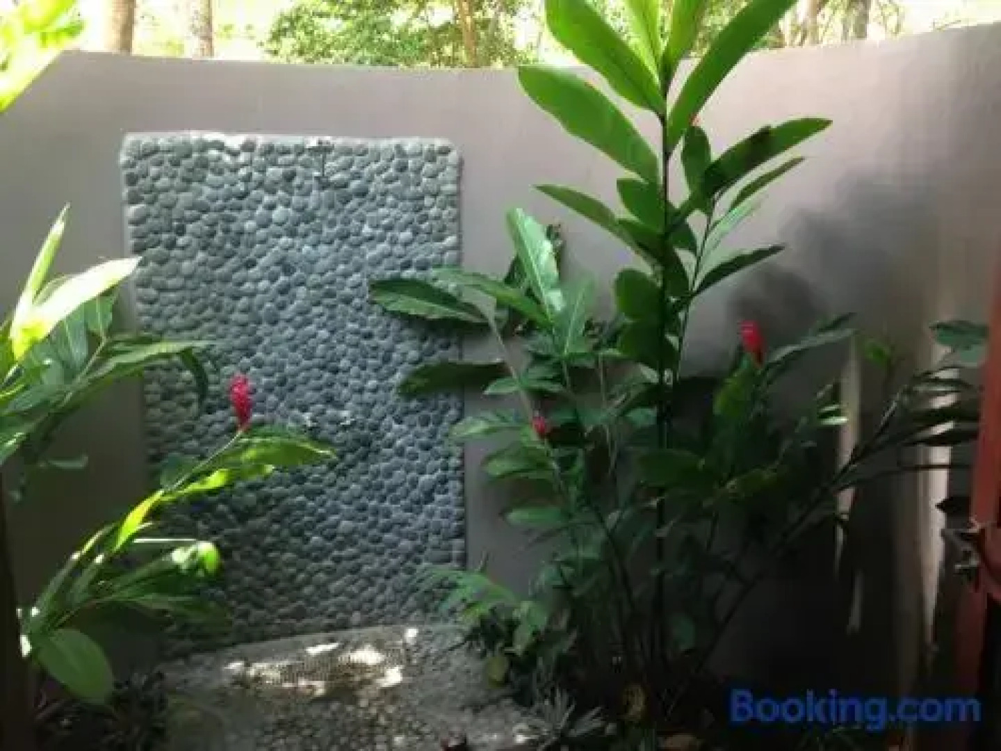 Tides Reach Beach House