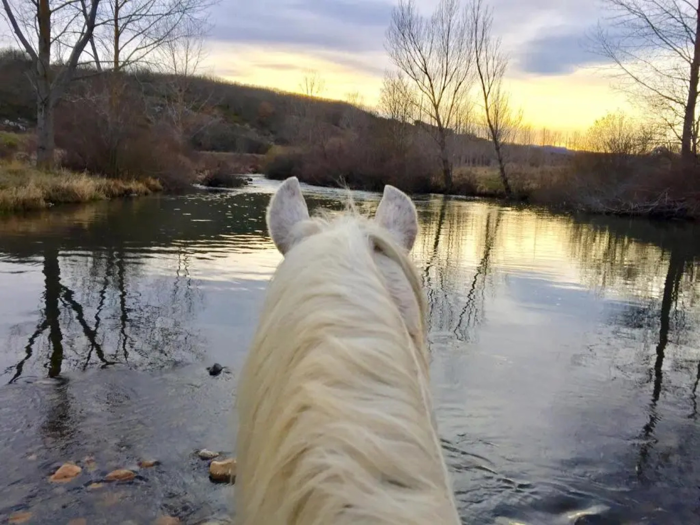 Hotel Rural Penalabra