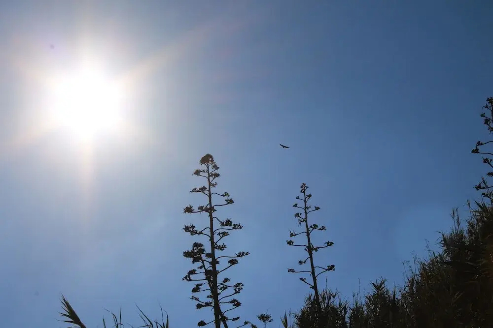 Casa rural Los Escobones