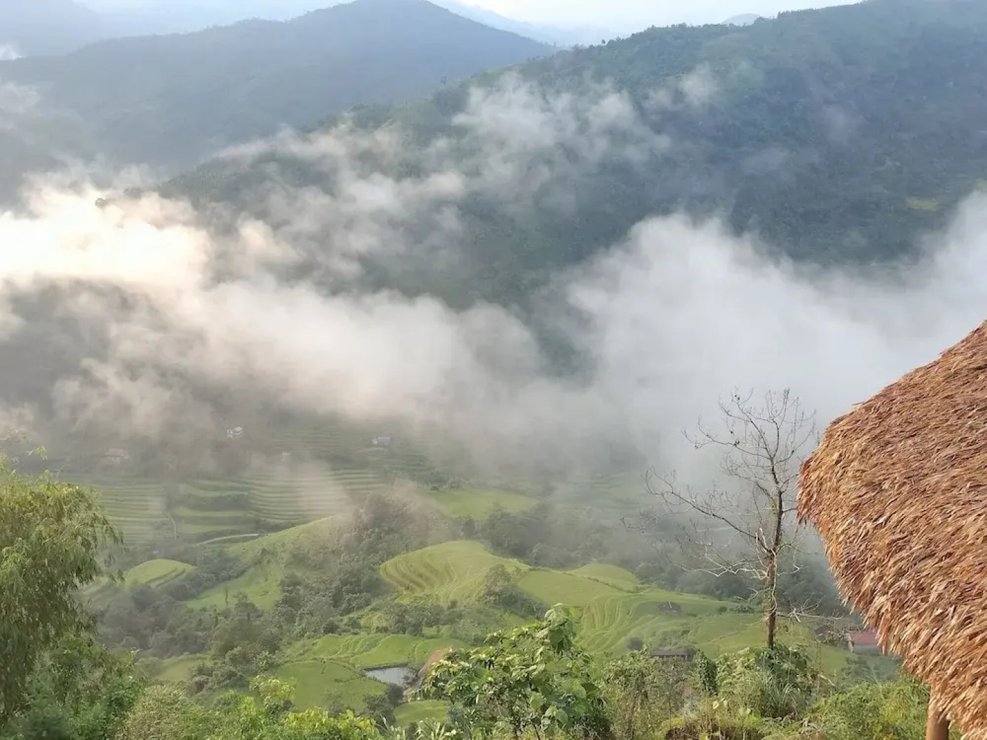 Mong Ngua Bungalow & Homestay