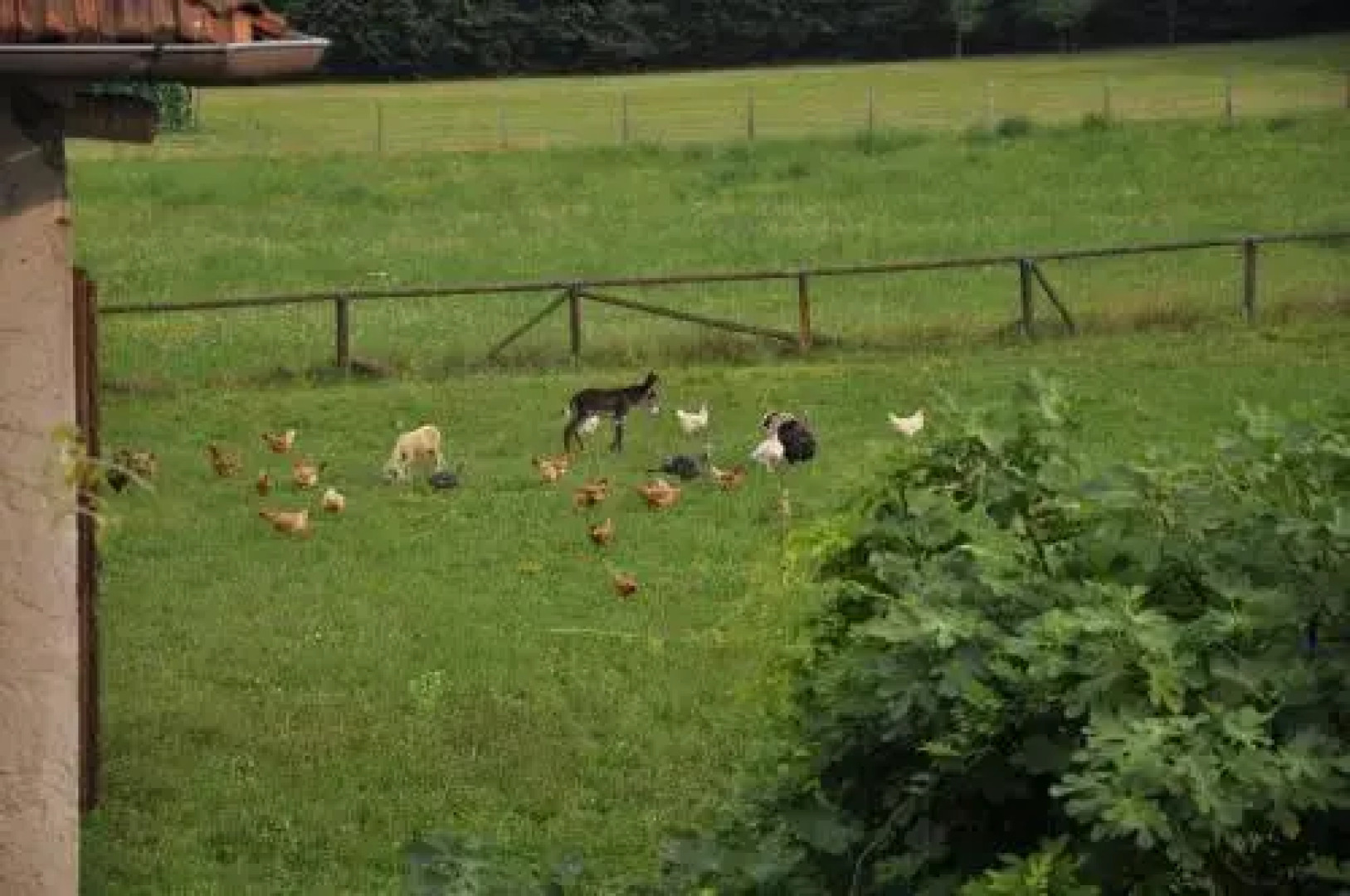 Agriturismo Antica Pieve