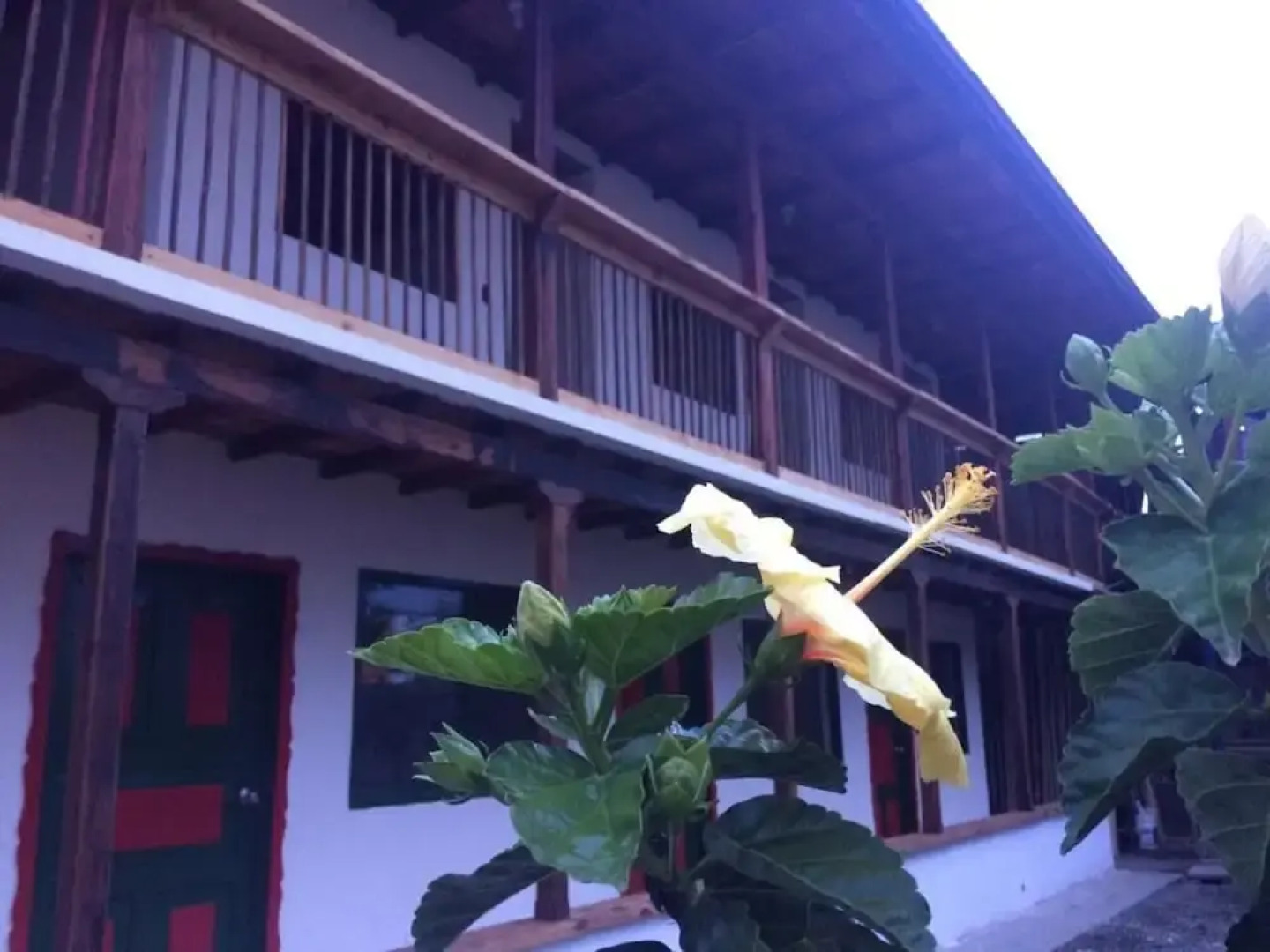 Hotel Aroma Cafetera