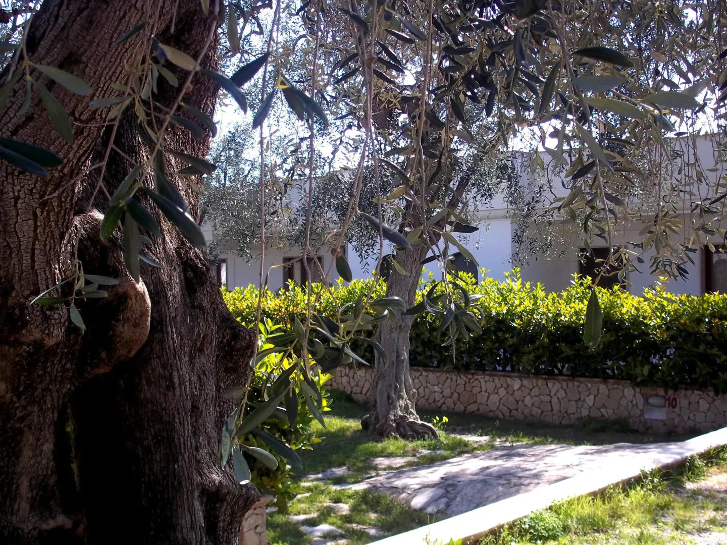 Villaggio San Matteo Resort