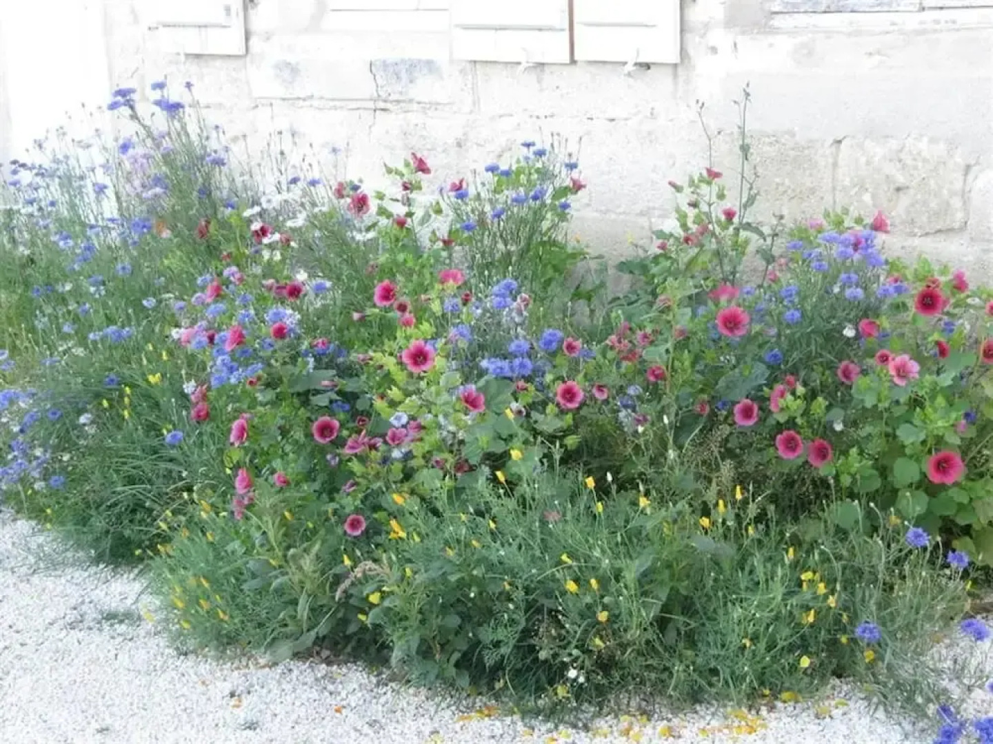 Chambres dHôtes et Gîtes du Château de Clauzuroux