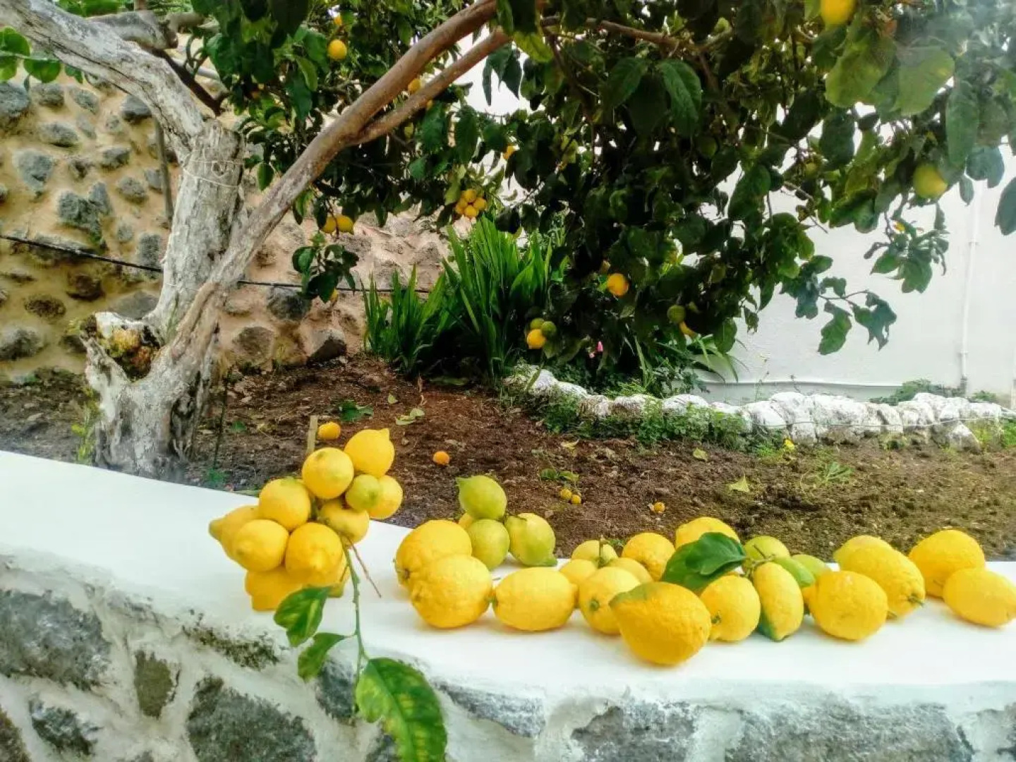 «Astrofeggia» A private stone house Nature-Seaview