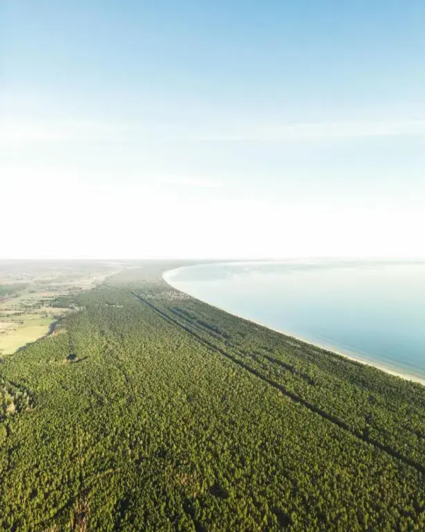 Jungle SPA bungalows