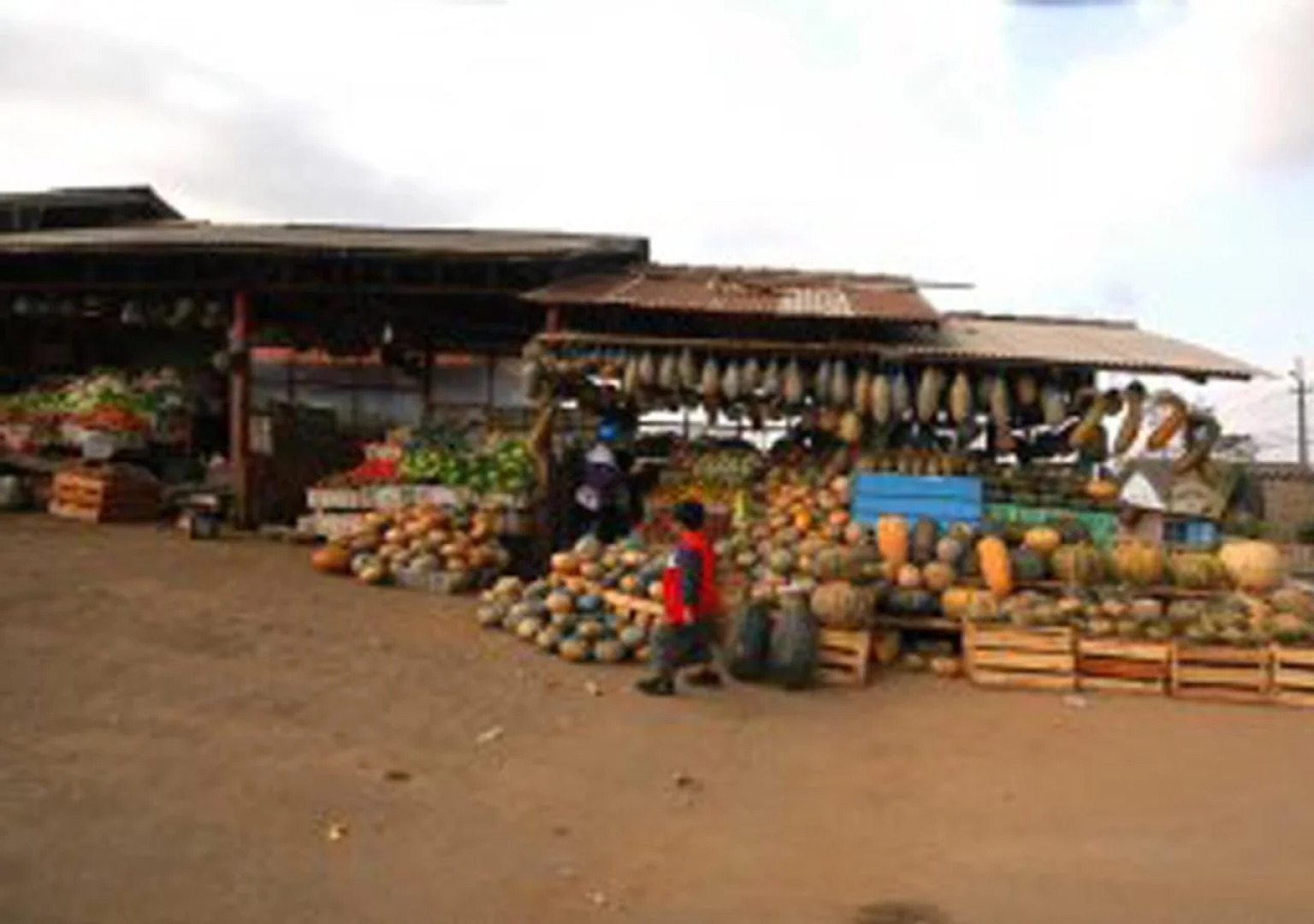 d'Emmerick Salib Putih Hotel Salatiga