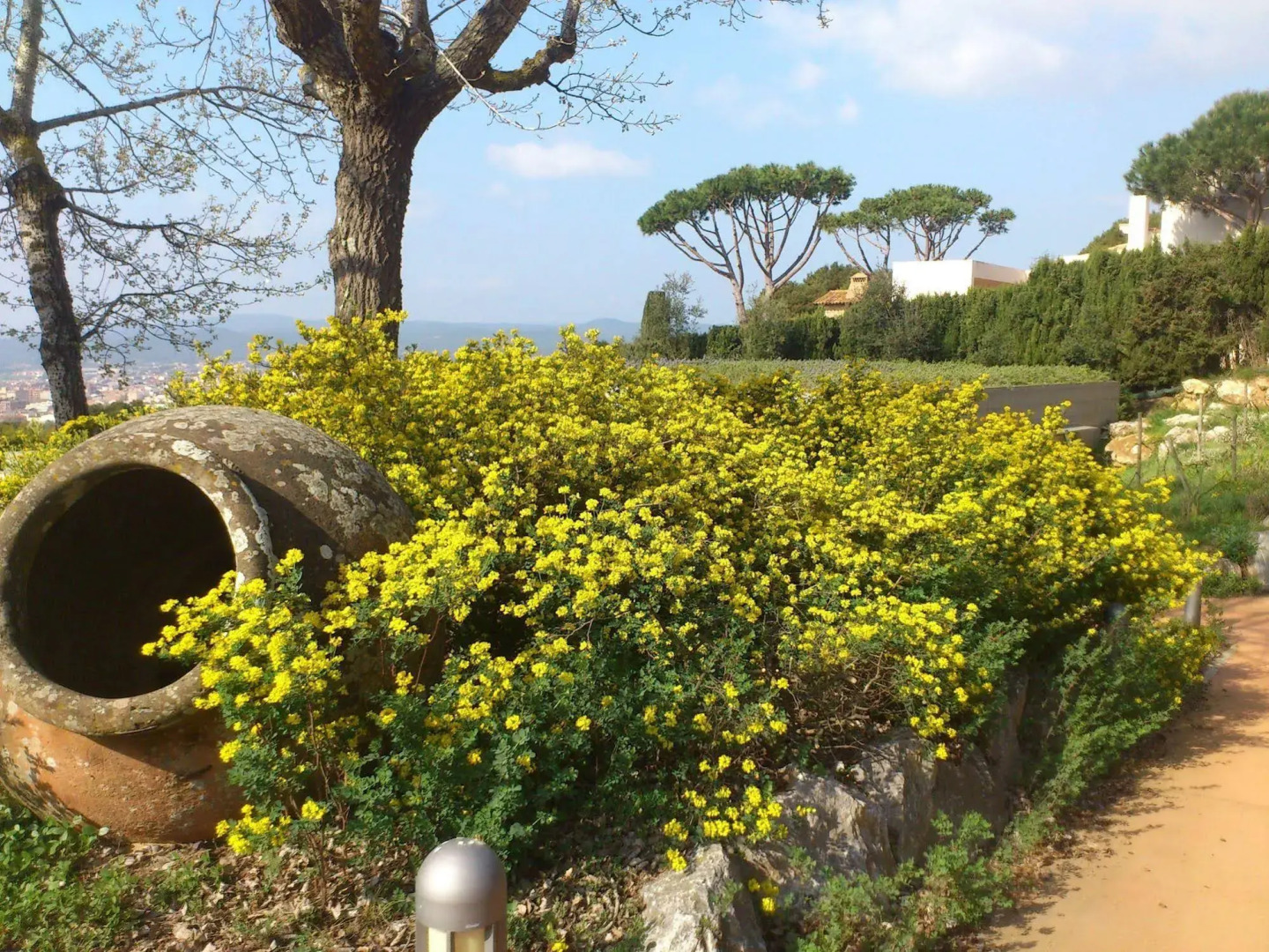 Mas Ses Vinyes - Adults Only