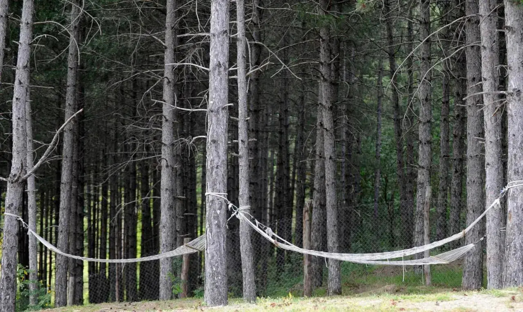 Podere Il Corniolino
