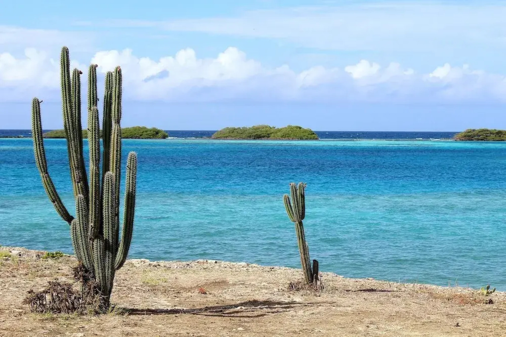 Palazzio Apartments & Studios