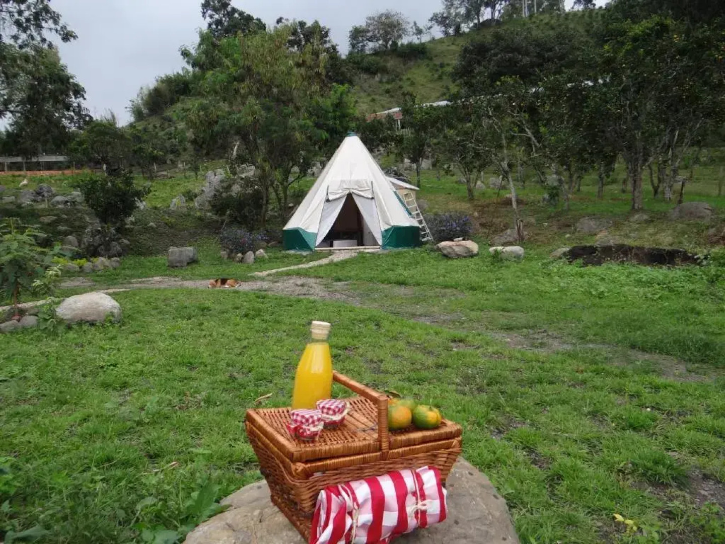 Glamping El Establo