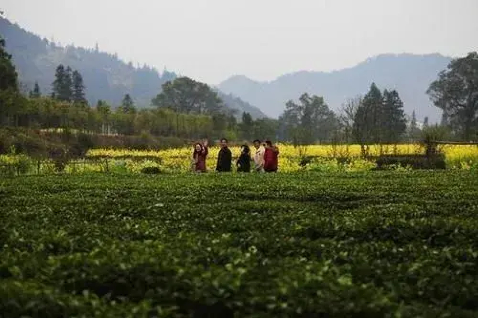 Wuyuan Huayuan Mountain Villa