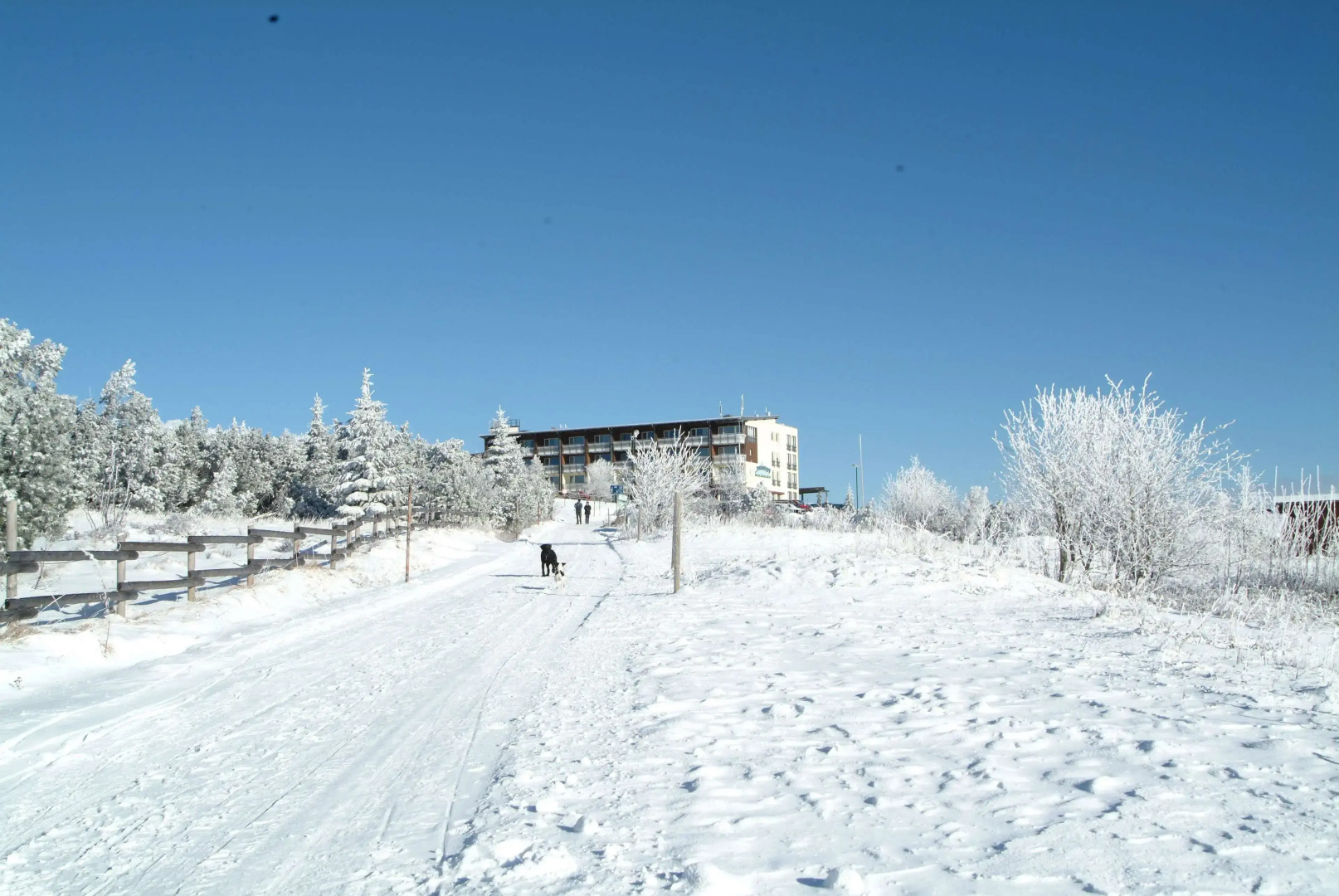 Wellness- & Nationalpark Hotel Schliffkopf Bwsc