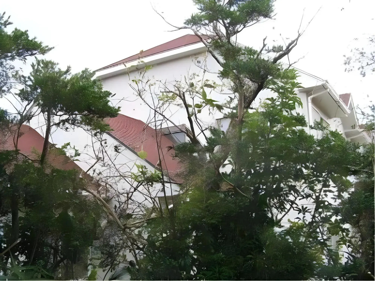 Pension Blue Marlin (Hachijojima)