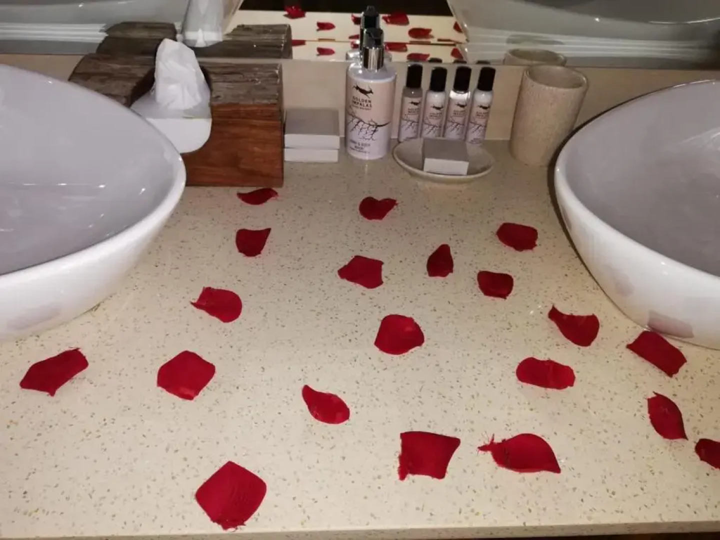 Golden Impalas Bush Resort