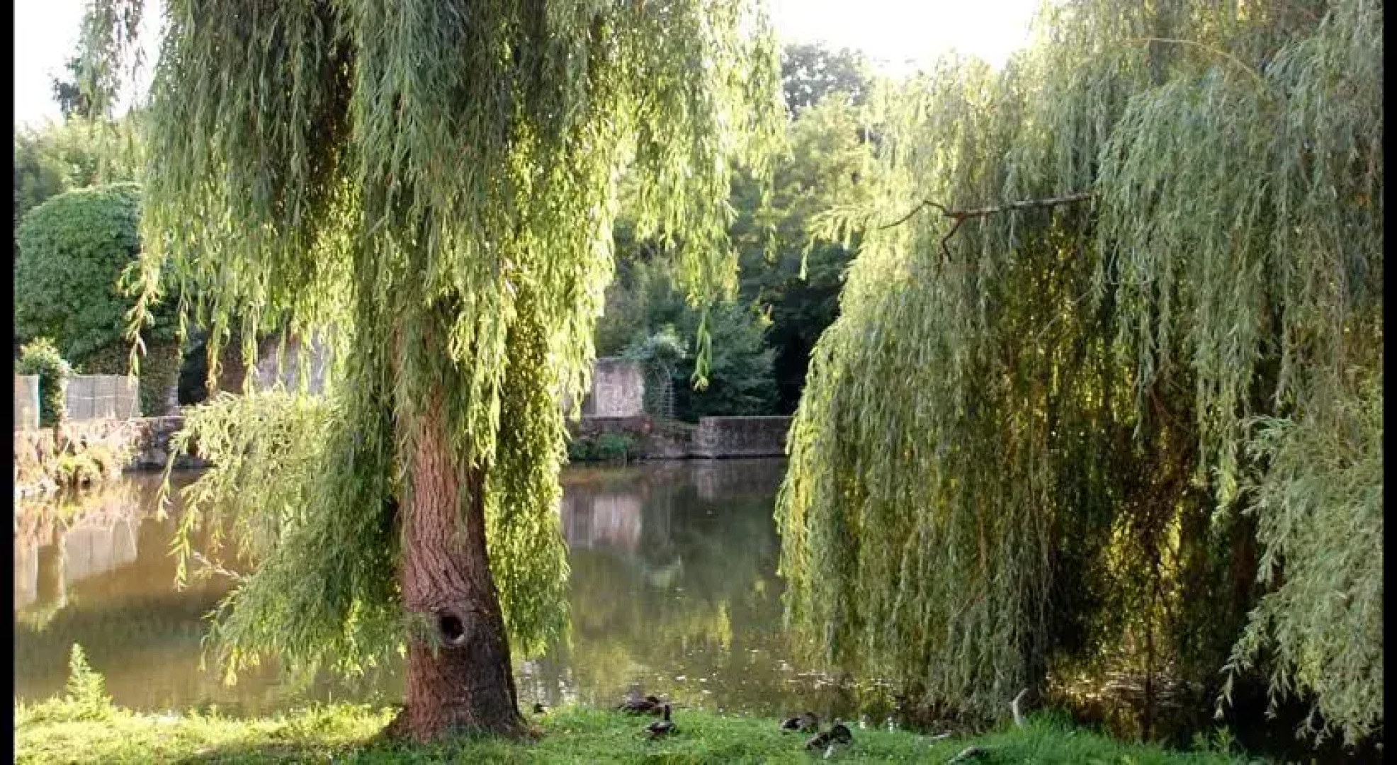 Les ateliers de lAussance