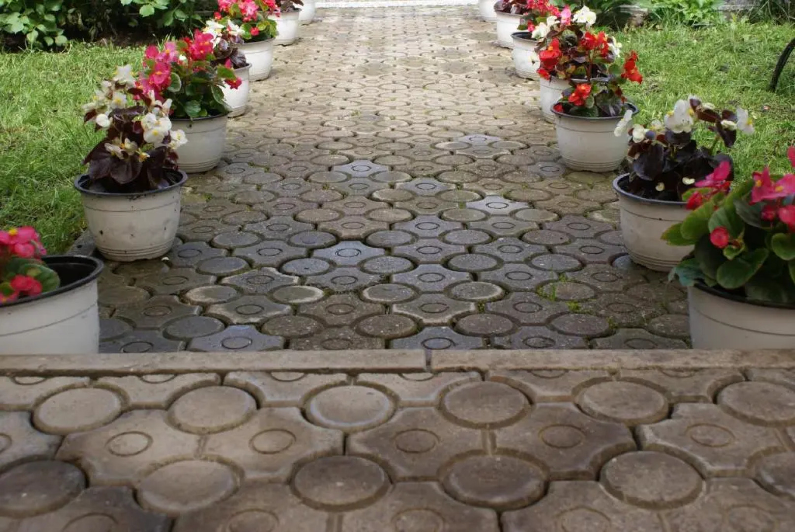 Pensiunea Alecsandra