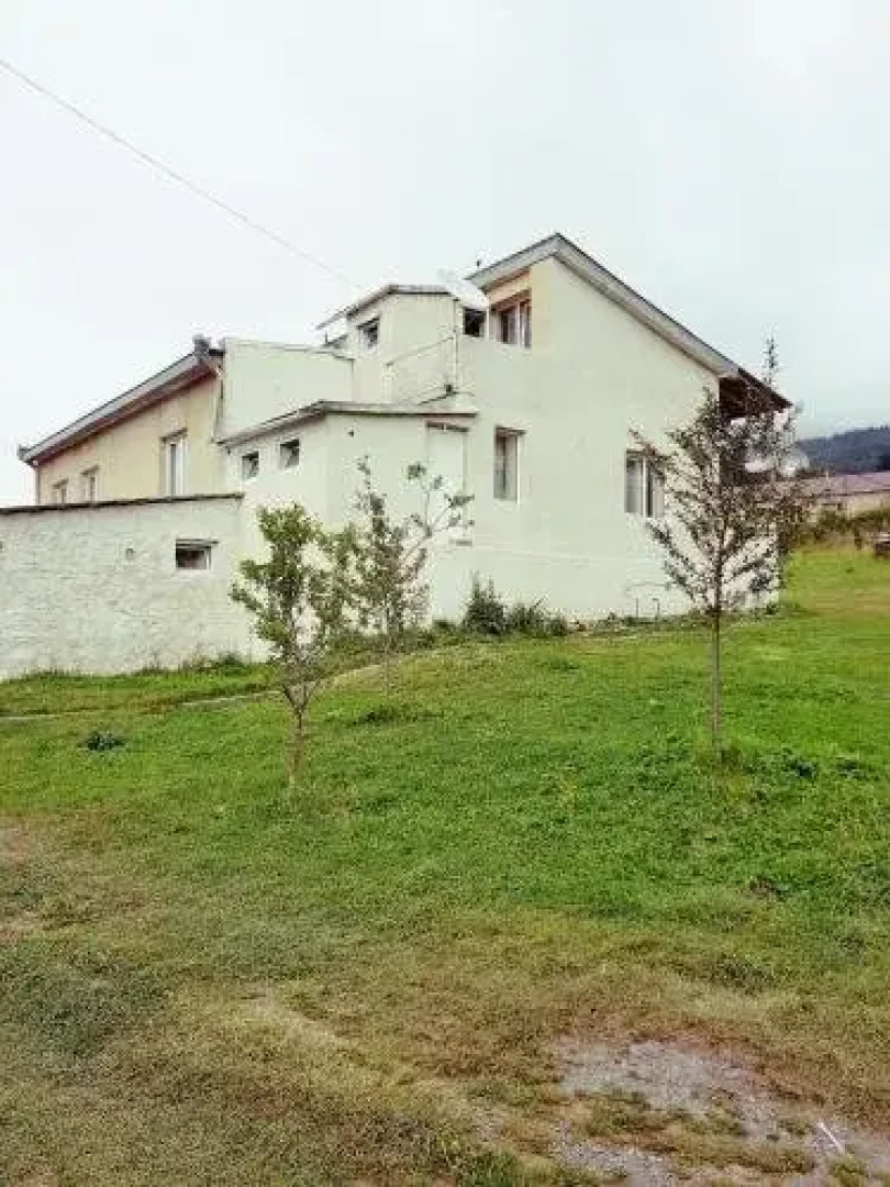 Tsitsia and Stepan Guest House