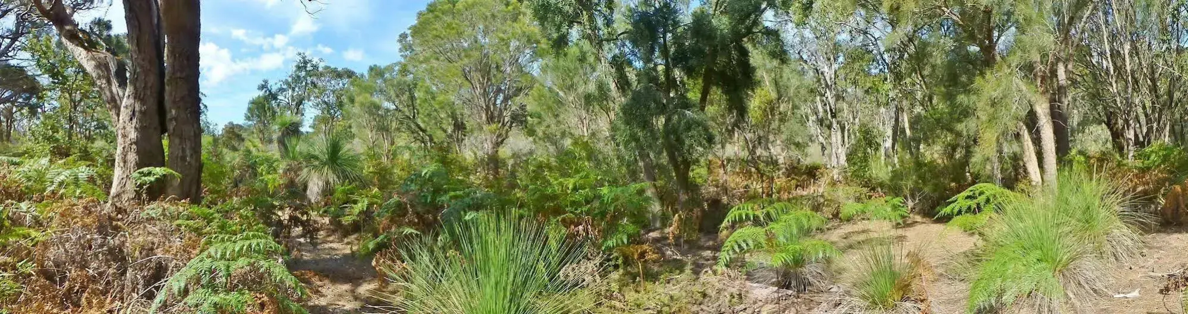 Yelverton Brook Conservation Sanctuary