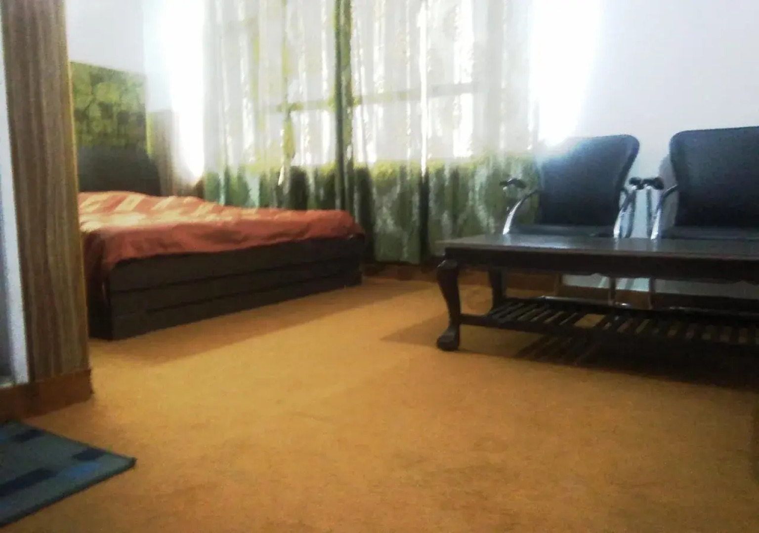 Hotel Mount View Shimla