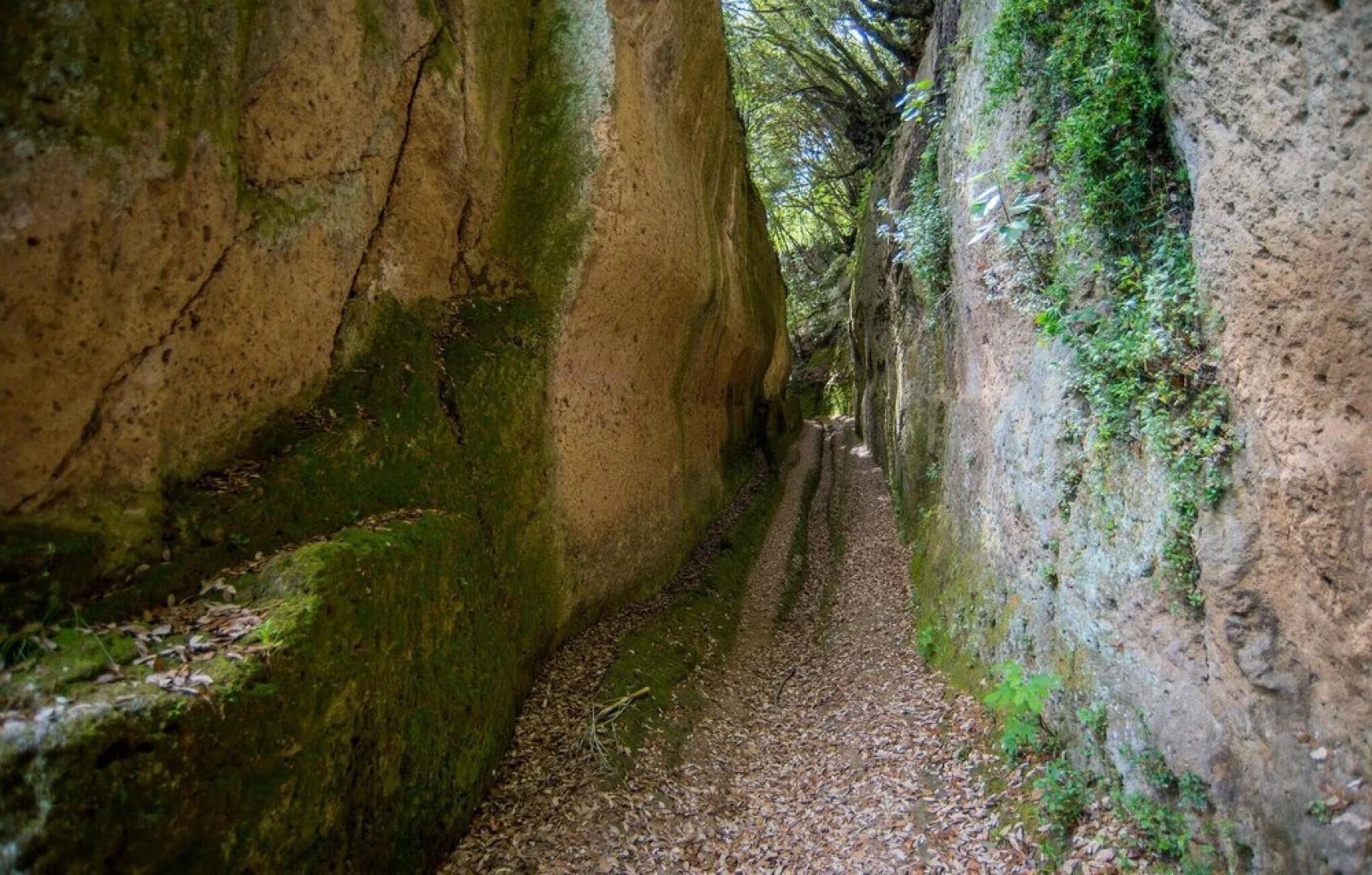 Beautiful Home in Roccalbegna With 5 Bedrooms and Wifi