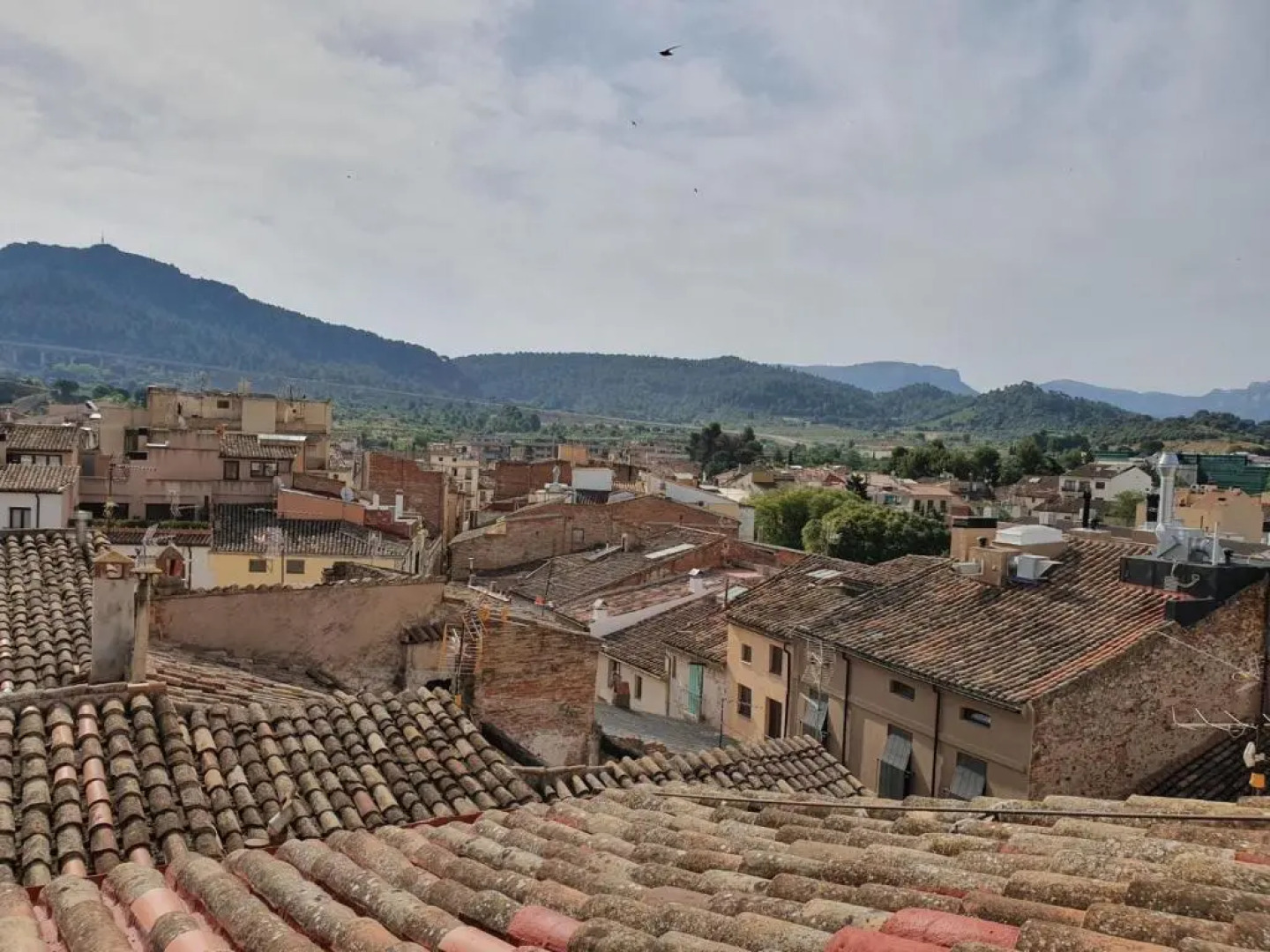 EVA & TRAVEL - Baronia - L'Escoleta 1