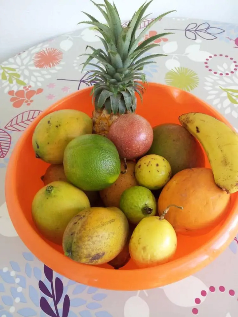 Studio In Petit Bourg With Enclosed Garden 3 Km From The Beach