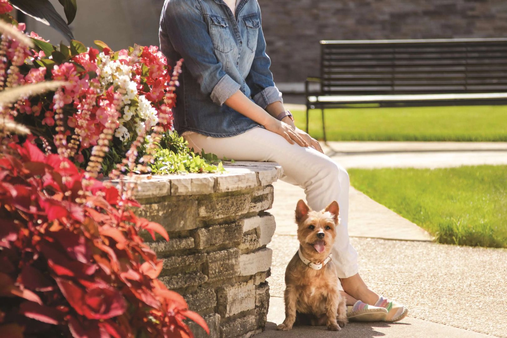 Hyatt Place Chicago/O'Hare Airport