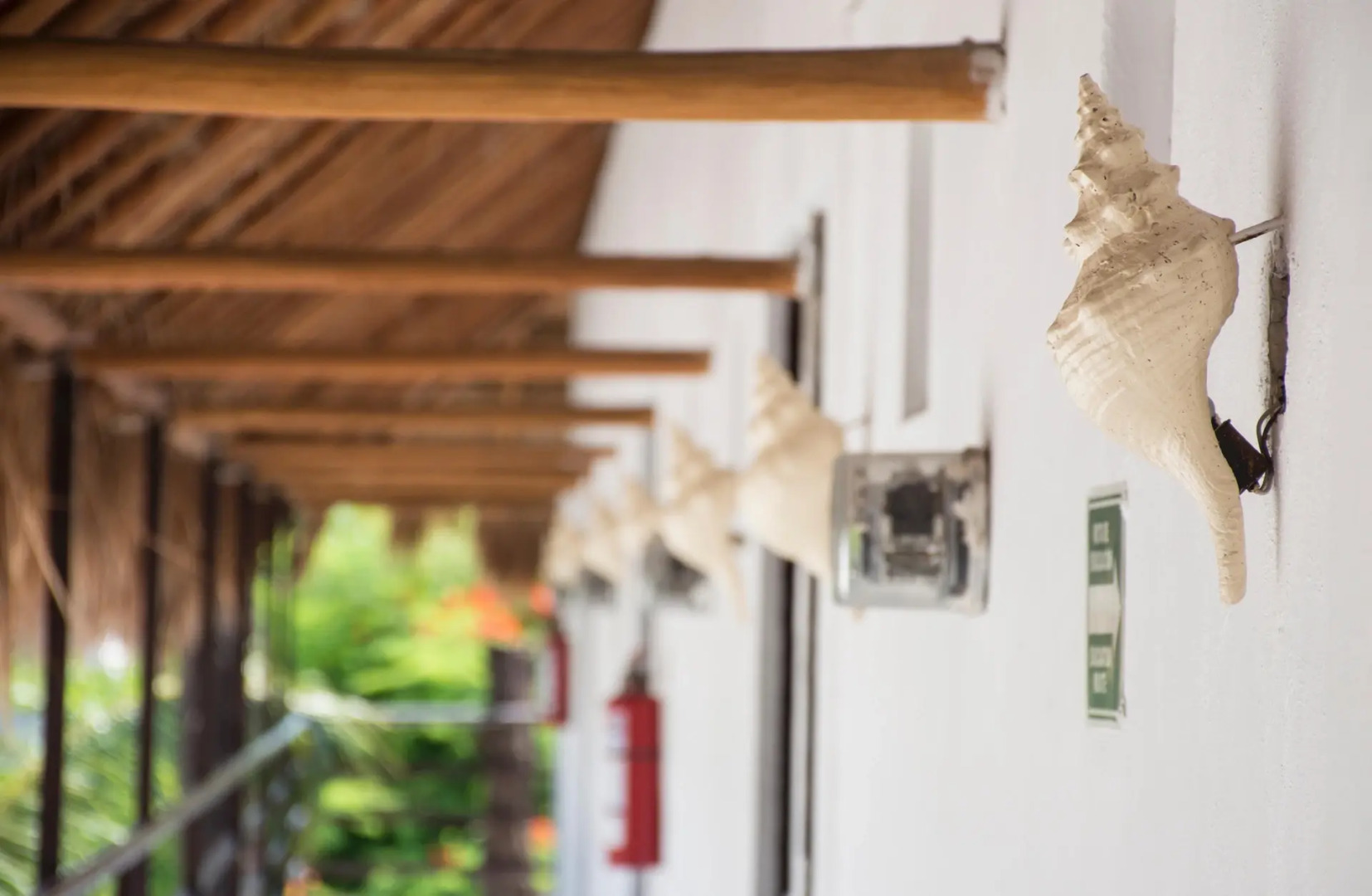 Hotel Maya del Carmen