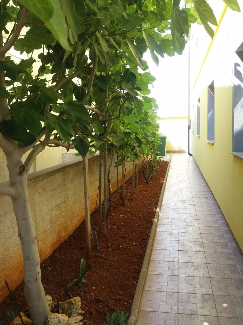 Apartment Franjo - barbecue: A3 Vir, Zadar riviera