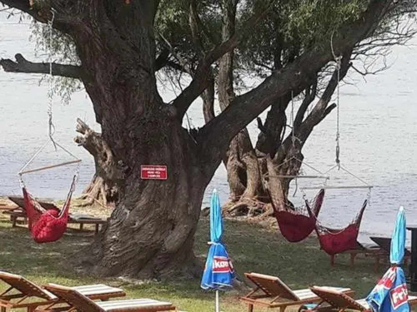 Bed And Breakfast Dunavska Terasa