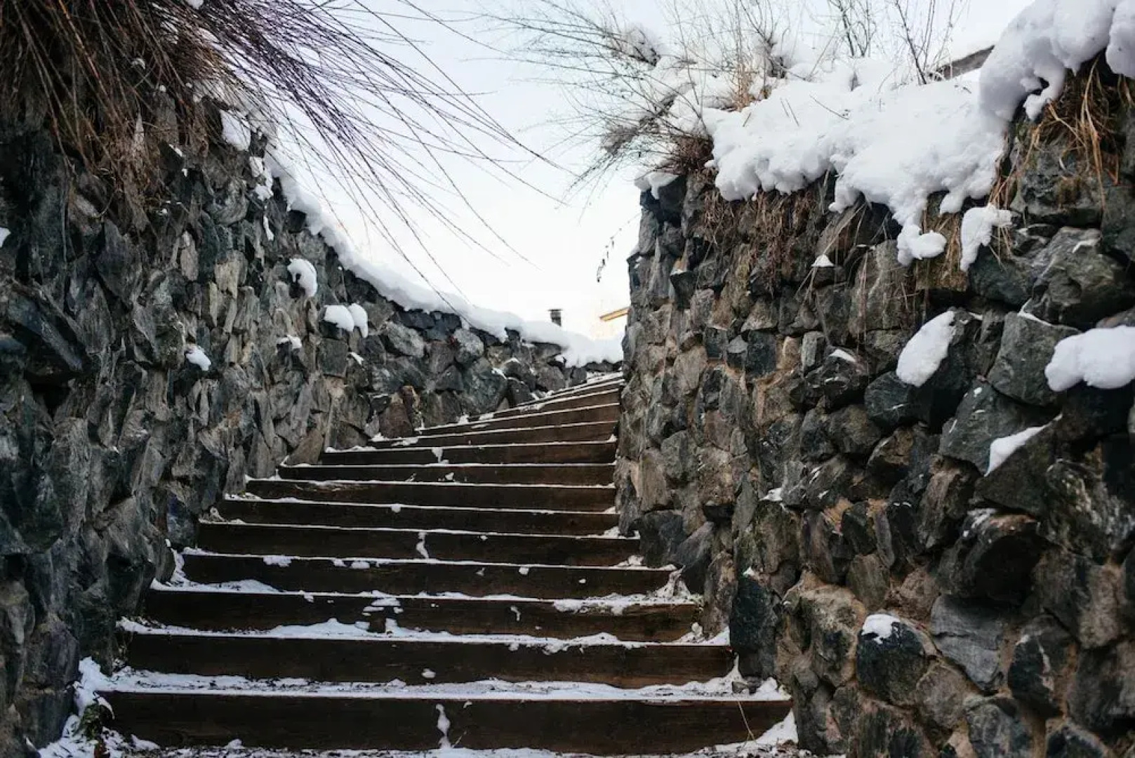 Peony Garden Guest House