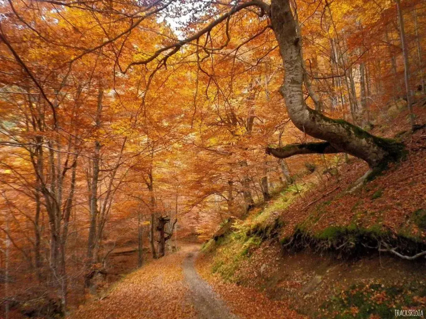 Casa Rural La Campana 4 Habitaciones 2 Supletorias Ático Opcional 4 pax